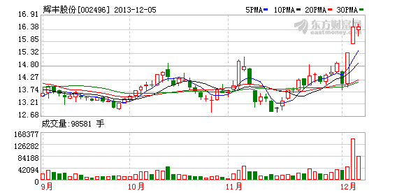 辉丰股份:控股股东所持公司部分股票质押