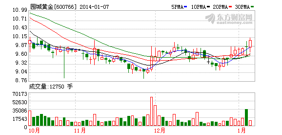 园城黄金董事长徐诚惠辞职