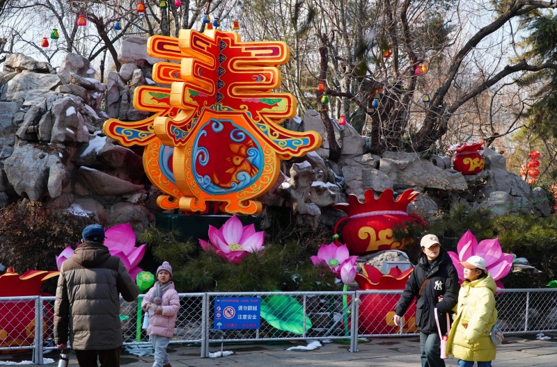 2月5日，游客在济南市的天下第一泉风景区内观赏花灯。_副本.jpg