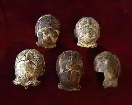 ��ʧ�����1940��