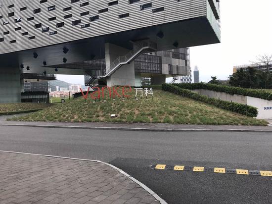 ���ڴ�÷ɳ�������