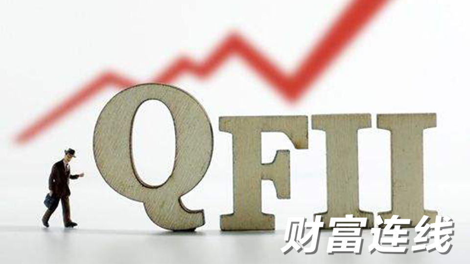 QFII����A�� ��Щ���ɽ����棿