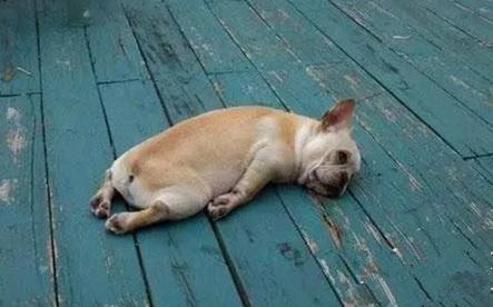 һ��������Ҫ׬����Ǯ����ά�����