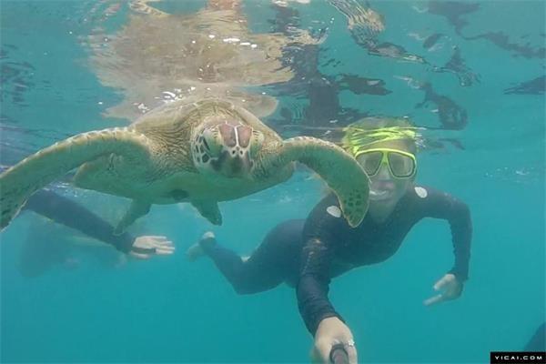 全世界最好的工作:21岁旅行博主晒照挣钱