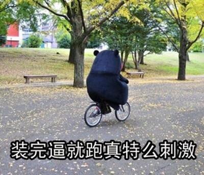 12��ֻ���¹���Ŷ����� ����ǹ��û��