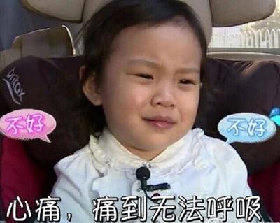 12��ֻ���¹���Ŷ����� ����ǹ��û��