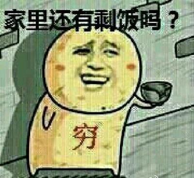 12��ֻ���¹���Ŷ����� ����ǹ��û��