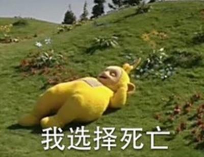 12��ֻ���¹���Ŷ����� ����ǹ��û��