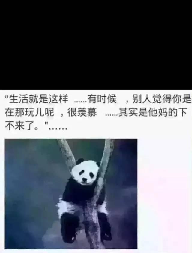 ����̸Ǯ������һ�Ѷ���