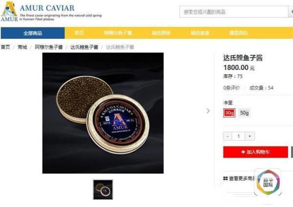 ���㻹�ӹ󣿹�����Щ���ʳ������桰����