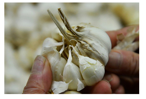 �������� ��нʮ�����ϵ��˿���Щְҵ׬Ǯ