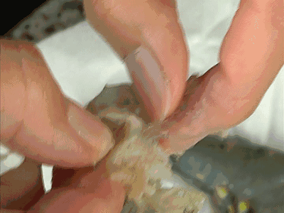 עˮ�������ע��Ϻ!�����䶳Ϻ�ڱ������״����