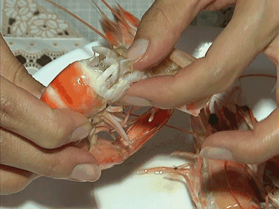 עˮ�������ע��Ϻ!�����䶳Ϻ�ڱ������״����