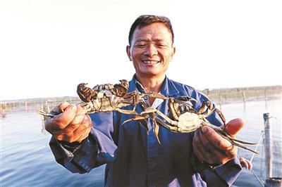 阳澄湖大闸蟹跌落神坛:遭抱团围攻 公款买蟹遇冷