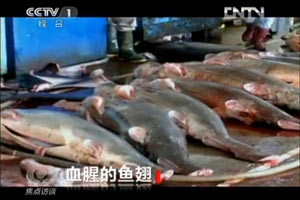 �����̻�ȡ�����ع��ҹ�ϵ�����Ҫ���ѹ�