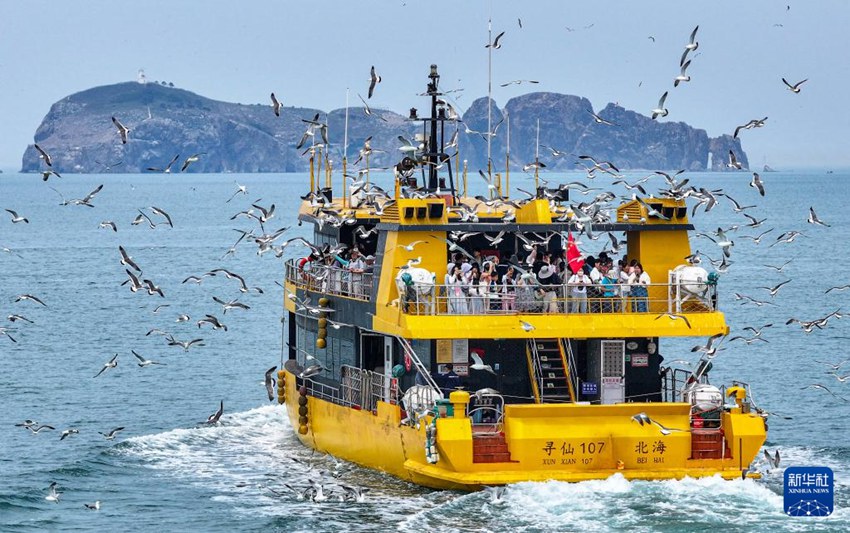 游客乘船出海与海鸟互动.jpg