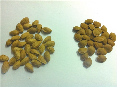 ���ء����������ʡ�