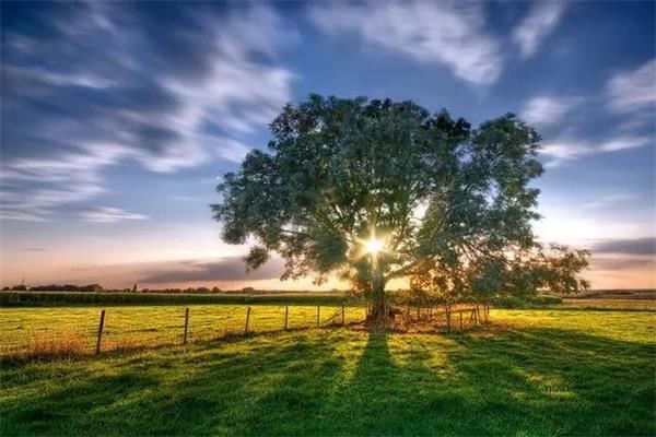 ��ʮ�����˷����˲ƣ��������ǲ���������