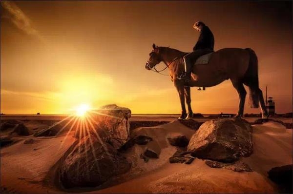 ��ʮ�����˷����˲ƣ��������ǲ���������