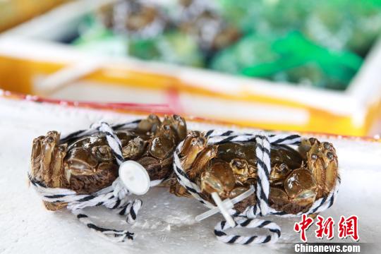 9��23�����κ���բз�ʵ����� �Ϻ���ͼ