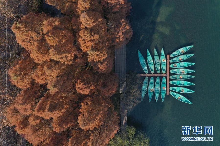 ���»�ȫýͷ����ͼ�Ļ�������8��Ǯ���񳯸�����������ˮƽС���ġ����ݴ����