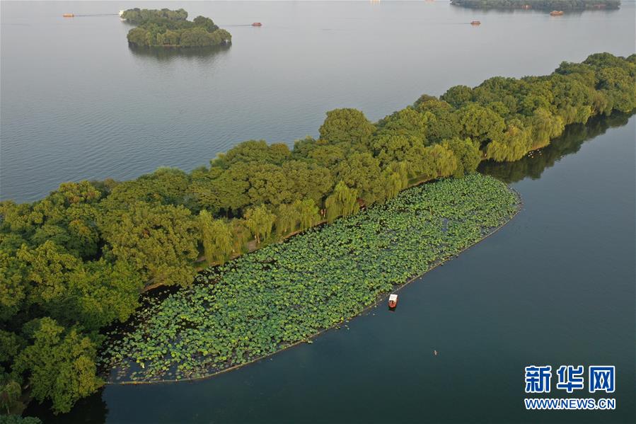 ���»�ȫýͷ����ͼ�Ļ�������10��Ǯ���񳯸�����������ˮƽС���ġ����ݴ����