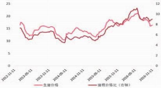 �����걨���г��ĸ��Ȳ�