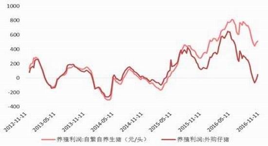 �����걨���г��ĸ��Ȳ�