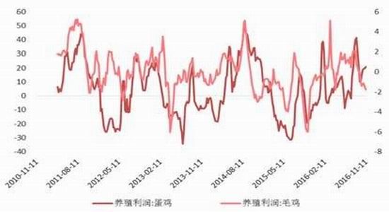 �����걨���г��ĸ��Ȳ�