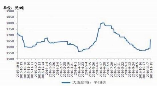 �����걨���г��ĸ��Ȳ�