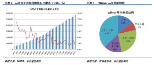 对马棕油后期产量的预测分析
