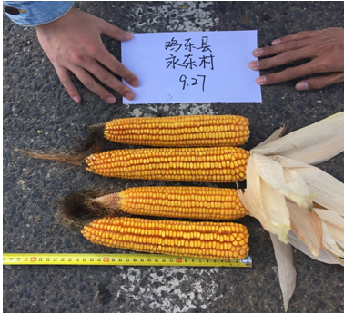 ����ֲ������� �����ܲ����½�