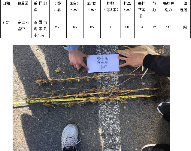 ����ֲ������� �����ܲ����½�